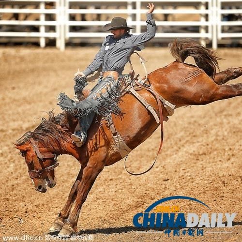 Karsa赛事官方发布败北新规，加拿大队争议不断！的简单介绍